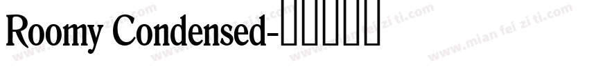Roomy Condensed字体转换